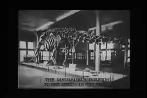 Free download Gertie The Dinosaur - 1914 video and edit with RedcoolMedia movie maker MovieStudio video editor online and AudioStudio audio editor onlin