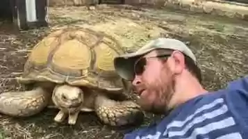 Free download Getting an upclose update from Cole and Dash on how the animals have been doing during the warm summer months. video and edit with RedcoolMedia movie maker MovieStudio video editor online and AudioStudio audio editor onlin