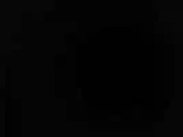 Free download Gill Animation 4K ProRes422HQ video and edit with RedcoolMedia movie maker MovieStudio video editor online and AudioStudio audio editor onlin