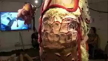 Free download Gil Yefman, Trans(A)gression performance, 2021, with Hadar Ben Meir and Shaked Leibzirer. The Israeli Center for Digital Art. video and edit with RedcoolMedia movie maker MovieStudio video editor online and AudioStudio audio editor onlin