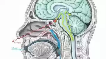 Free download Githa Ben-David: A fast introduction to Hung Song video and edit with RedcoolMedia movie maker MovieStudio video editor online and AudioStudio audio editor onlin