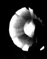 Free download GIVENCHY FW21 SHOW TEASER 02 video and edit with RedcoolMedia movie maker MovieStudio video editor online and AudioStudio audio editor onlin