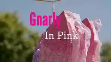 Free download Gnarly in Pink Mini-Documentary video and edit with RedcoolMedia movie maker MovieStudio video editor online and AudioStudio audio editor onlin