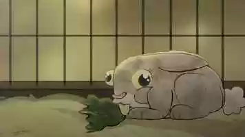 Free download Gnawty Rabbits in Queensland - Rabbit Owners video and edit with RedcoolMedia movie maker MovieStudio video editor online and AudioStudio audio editor onlin