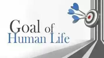 Free download Goal of Human Life video and edit with RedcoolMedia movie maker MovieStudio video editor online and AudioStudio audio editor onlin