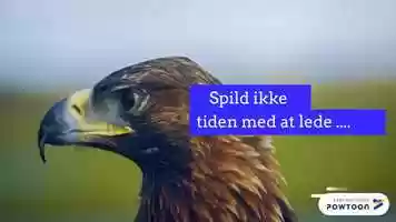 Free download Gode tilbud hnger ikke p trerne video and edit with RedcoolMedia movie maker MovieStudio video editor online and AudioStudio audio editor onlin
