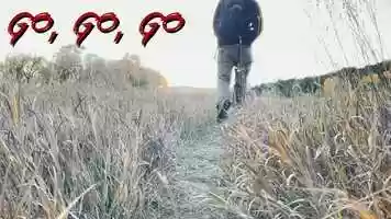 Free download Go, Go, GO video and edit with RedcoolMedia movie maker MovieStudio video editor online and AudioStudio audio editor onlin