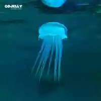 Free download GOJELLY interactive story - Lowpoly Jellyfish - Excerpt from the 3D Motion Graphics video and edit with RedcoolMedia movie maker MovieStudio video editor online and AudioStudio audio editor onlin
