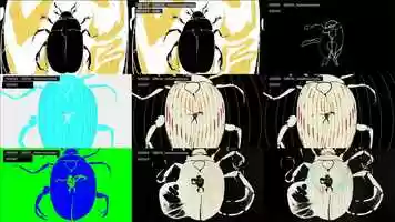 Free download Good Books - Metamorphosis Process Video video and edit with RedcoolMedia movie maker MovieStudio video editor online and AudioStudio audio editor onlin