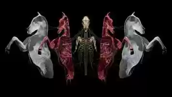 Free download GP.004.DUALIST video and edit with RedcoolMedia movie maker MovieStudio video editor online and AudioStudio audio editor onlin
