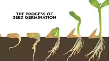 Free download grade3_science_vol2_chapter1_new2 video and edit with RedcoolMedia movie maker MovieStudio video editor online and AudioStudio audio editor onlin