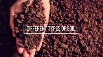 Free download grade3_science_vol3_chapter3_video4 video and edit with RedcoolMedia movie maker MovieStudio video editor online and AudioStudio audio editor onlin