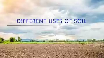 Free download grade3_science_vol3_chapter3_video5 video and edit with RedcoolMedia movie maker MovieStudio video editor online and AudioStudio audio editor onlin