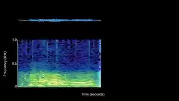 Free download Gray Whale S3 call video and edit with RedcoolMedia movie maker MovieStudio video editor online and AudioStudio audio editor onlin