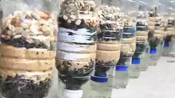 Free download Green Root Lab: DIY Water Filter Experiment video and edit with RedcoolMedia movie maker MovieStudio video editor online and AudioStudio audio editor onlin