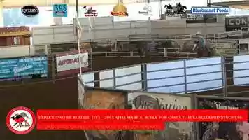 Free download GREG FUT 2-79 Melody Hendricks-EXPECT TWO BE BULLI video and edit with RedcoolMedia movie maker MovieStudio video editor online and AudioStudio audio editor onlin