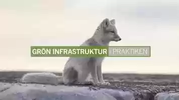 Free download Grn infrastruktur Felles fjllrev video and edit with RedcoolMedia movie maker MovieStudio video editor online and AudioStudio audio editor onlin