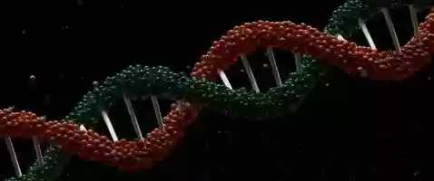 Free download Growth Title Sequence video and edit with RedcoolMedia movie maker MovieStudio video editor online and AudioStudio audio editor onlin