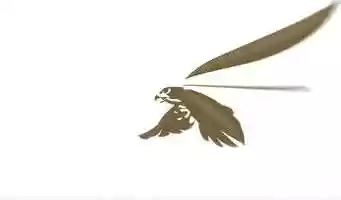 Free download Gulf Air 70 years logo animation video and edit with RedcoolMedia movie maker MovieStudio video editor online and AudioStudio audio editor onlin