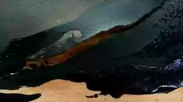 Free download Guy Gelem  A Thought video and edit with RedcoolMedia movie maker MovieStudio video editor online and AudioStudio audio editor onlin