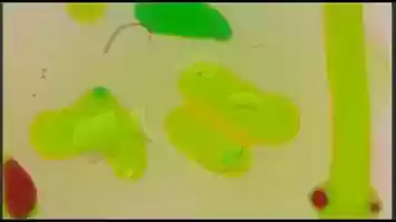 Free download GYRE by Ponor/Janczak video and edit with RedcoolMedia movie maker MovieStudio video editor online and AudioStudio audio editor onlin