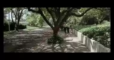 Free download Halloween (1978) - The night he came home.mp4 video and edit with RedcoolMedia movie maker MovieStudio video editor online and AudioStudio audio editor onlin