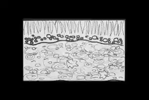 Free download Hand drawn Exquisite Corpse animation video and edit with RedcoolMedia movie maker MovieStudio video editor online and AudioStudio audio editor onlin