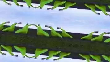 Free download happyslug- Electrodolt _ EDM Offiicial Video video and edit with RedcoolMedia movie maker MovieStudio video editor online and AudioStudio audio editor onlin