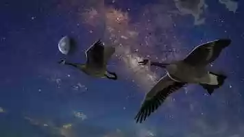 Free download Happy Thanksgiving Everyone video and edit with RedcoolMedia movie maker MovieStudio video editor online and AudioStudio audio editor onlin