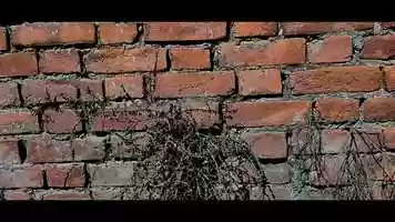 Free download Hari Bhari Short Film video and edit with RedcoolMedia movie maker MovieStudio video editor online and AudioStudio audio editor onlin