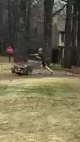 Free download Harrison Learning to Mow the Lawn Part II video and edit with RedcoolMedia movie maker MovieStudio video editor online and AudioStudio audio editor onlin
