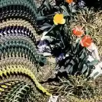 Free download Heavy, Crop  Drag video and edit with RedcoolMedia movie maker MovieStudio video editor online and AudioStudio audio editor onlin