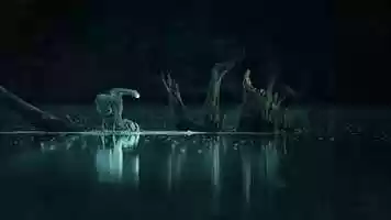 Free download Heron on hunt video and edit with RedcoolMedia movie maker MovieStudio video editor online and AudioStudio audio editor onlin