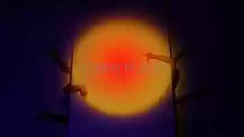 Free download HIDDEN PLACES  | 2021 Teaser video and edit with RedcoolMedia movie maker MovieStudio video editor online and AudioStudio audio editor onlin