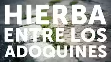 Free download Hierba entre los adoquines - TRAILER (ES) video and edit with RedcoolMedia movie maker MovieStudio video editor online and AudioStudio audio editor onlin