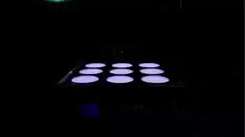 Free download Hole-E-Moley in Action.mp4 video and edit with RedcoolMedia movie maker MovieStudio video editor online and AudioStudio audio editor onlin