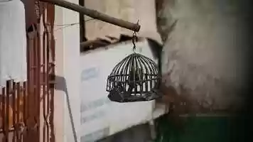 Free download Holy Rights_Documentary_Official Trailer video and edit with RedcoolMedia movie maker MovieStudio video editor online and AudioStudio audio editor onlin