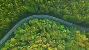 Free download Home Film GIDARA 3.mp4 video and edit with RedcoolMedia movie maker MovieStudio video editor online and AudioStudio audio editor onlin