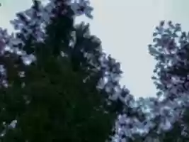 Free download Home Movie 04 video and edit with RedcoolMedia movie maker MovieStudio video editor online and AudioStudio audio editor onlin