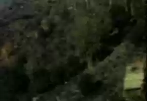 Free download Home Movie: 97183: Unidentified video and edit with RedcoolMedia movie maker MovieStudio video editor online and AudioStudio audio editor onlin