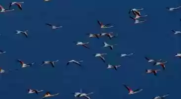 Free download home.mp4 video and edit with RedcoolMedia movie maker MovieStudio video editor online and AudioStudio audio editor onlin