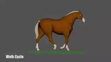 Free download horse walk.mp4 video and edit with RedcoolMedia movie maker MovieStudio video editor online and AudioStudio audio editor onlin