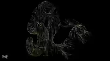 Free download Houdini | Root animation video and edit with RedcoolMedia movie maker MovieStudio video editor online and AudioStudio audio editor onlin