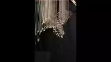 Free download house finch feather animation video and edit with RedcoolMedia movie maker MovieStudio video editor online and AudioStudio audio editor onlin