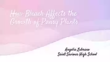 Free download How Bleach Affects the Growth of Pansy Plants | NY Sun Works Youth Conference video and edit with RedcoolMedia movie maker MovieStudio video editor online and AudioStudio audio editor onlin