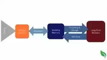 Free download How Does Human Memory Work? video and edit with RedcoolMedia movie maker MovieStudio video editor online and AudioStudio audio editor onlin