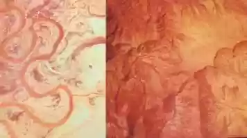 Free download How Does It Start video and edit with RedcoolMedia movie maker MovieStudio video editor online and AudioStudio audio editor onlin