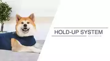 Free download How to secure the hold-up system? by Medical Pet Shirts video and edit with RedcoolMedia movie maker MovieStudio video editor online and AudioStudio audio editor onlin