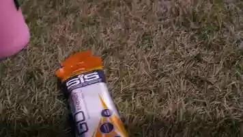 Free download HOW TO TRAIN THE PRESSING GAME_SUBTITLES video and edit with RedcoolMedia movie maker MovieStudio video editor online and AudioStudio audio editor onlin