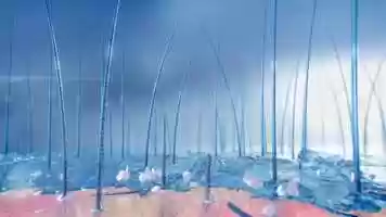 Free download HS | DEMO Scalp 2019 video and edit with RedcoolMedia movie maker MovieStudio video editor online and AudioStudio audio editor onlin